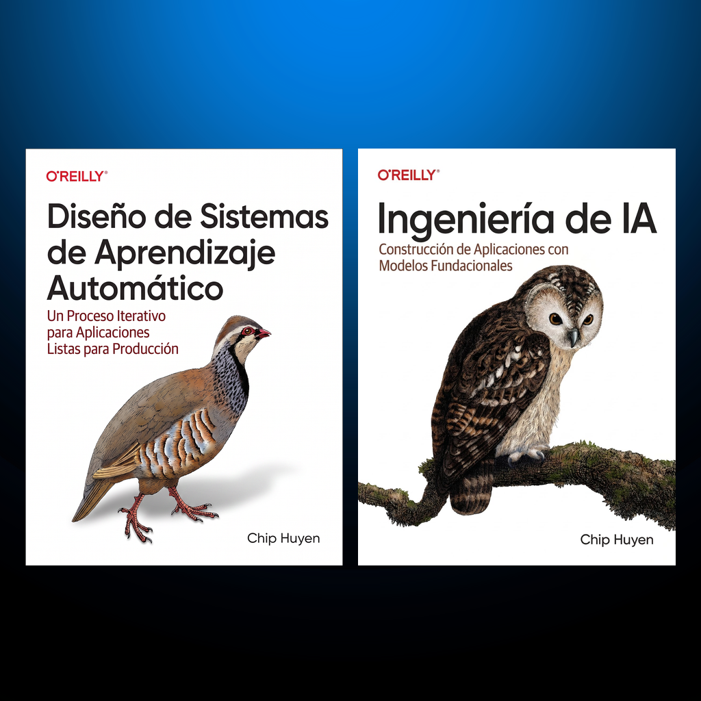 Colección Chip Huyen