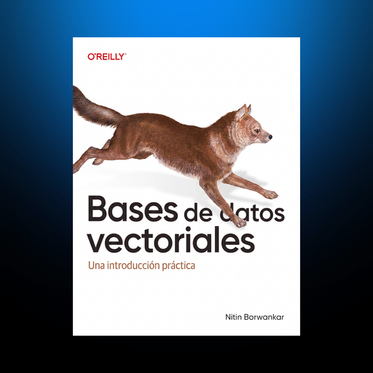 Bases de datos vectoriales — Nitin Borwankar